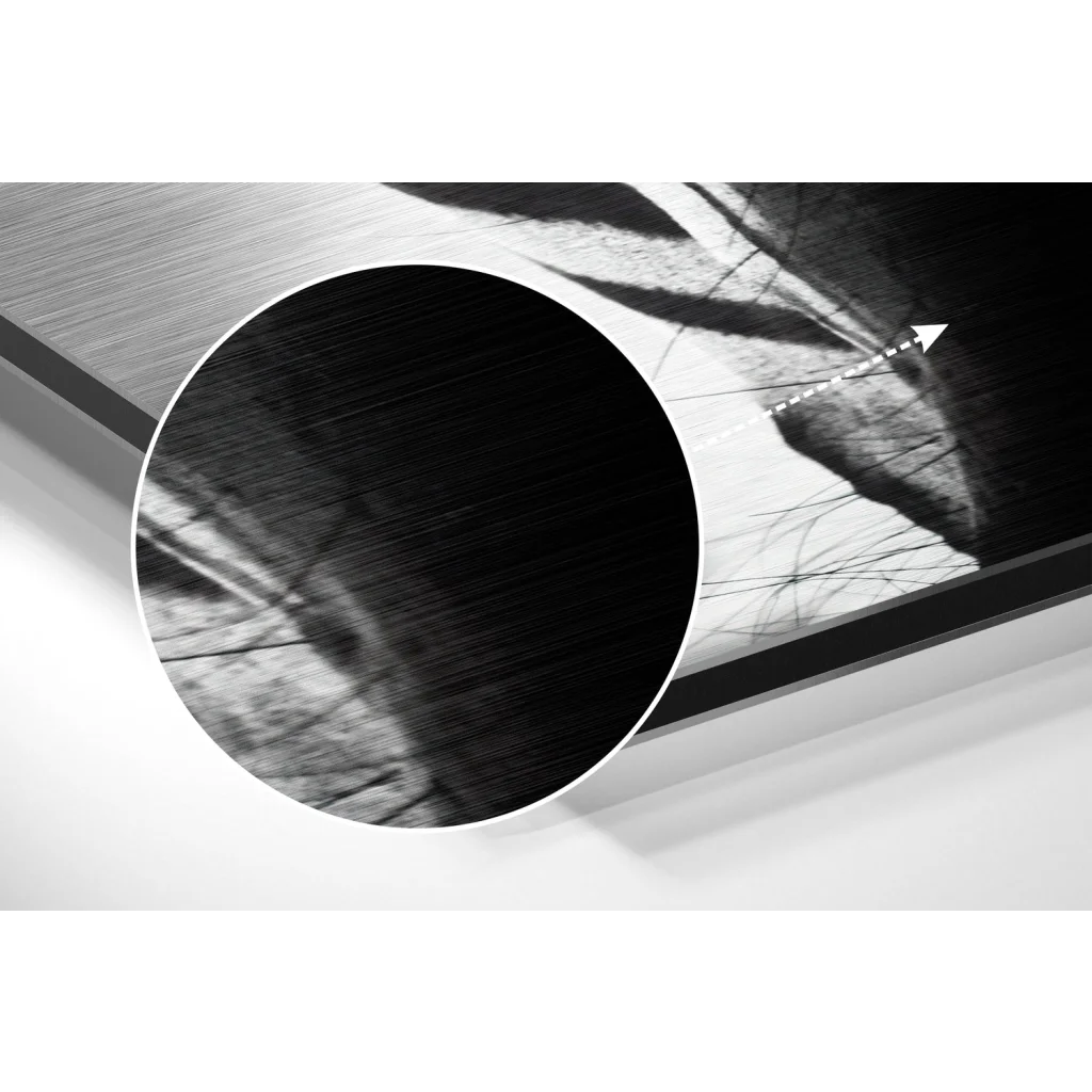 Stunning zebra portrait on black textured brushed aluminium dibond print