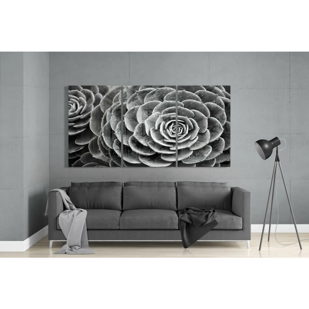 Black-and-white spiral succulent triptych canvas wall art close-up