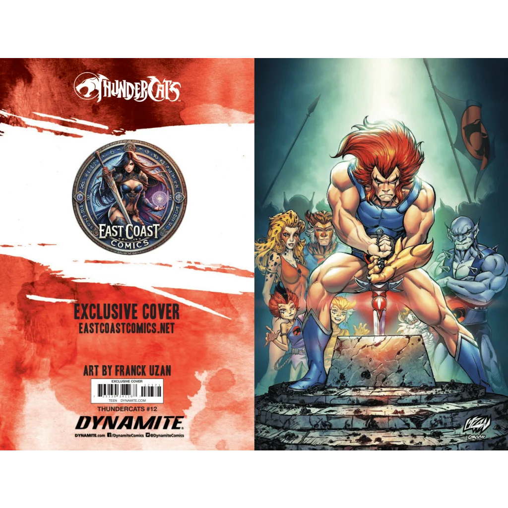 Thundercats Issue 12 East Coast Comics Franck Uzan Variant Cover with Lion-O and friends