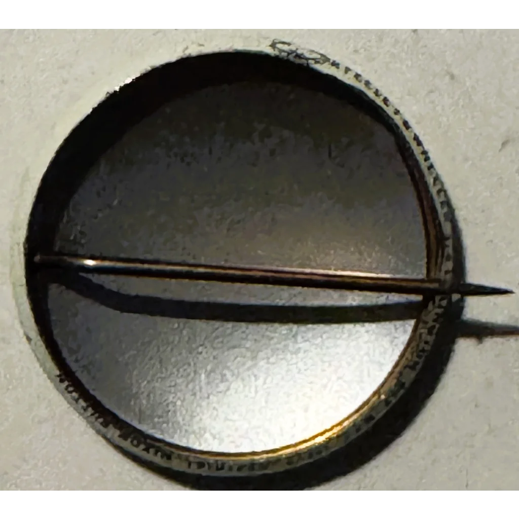 Back of uncommon vintage 1960s Richard Nixon Tricky Dick campaign button