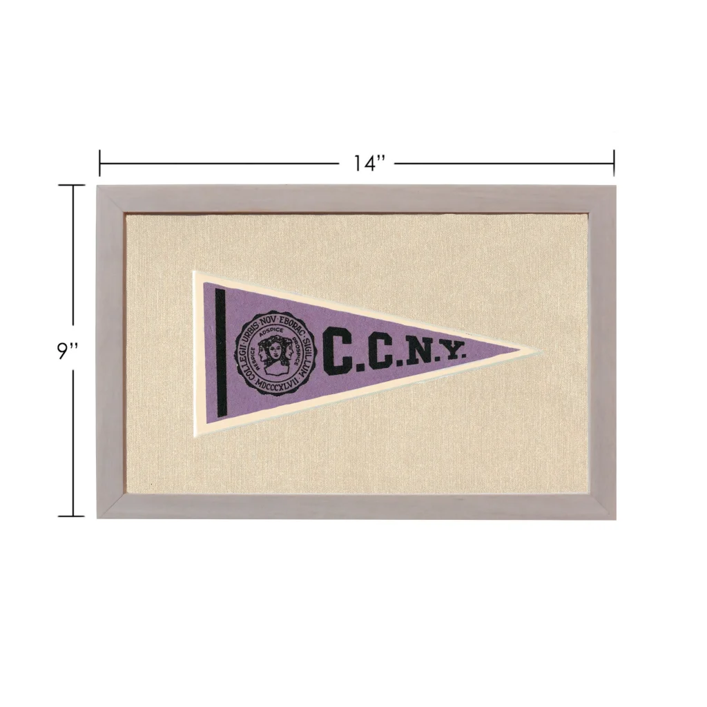 Vintage City College of New York purple triangular pennant