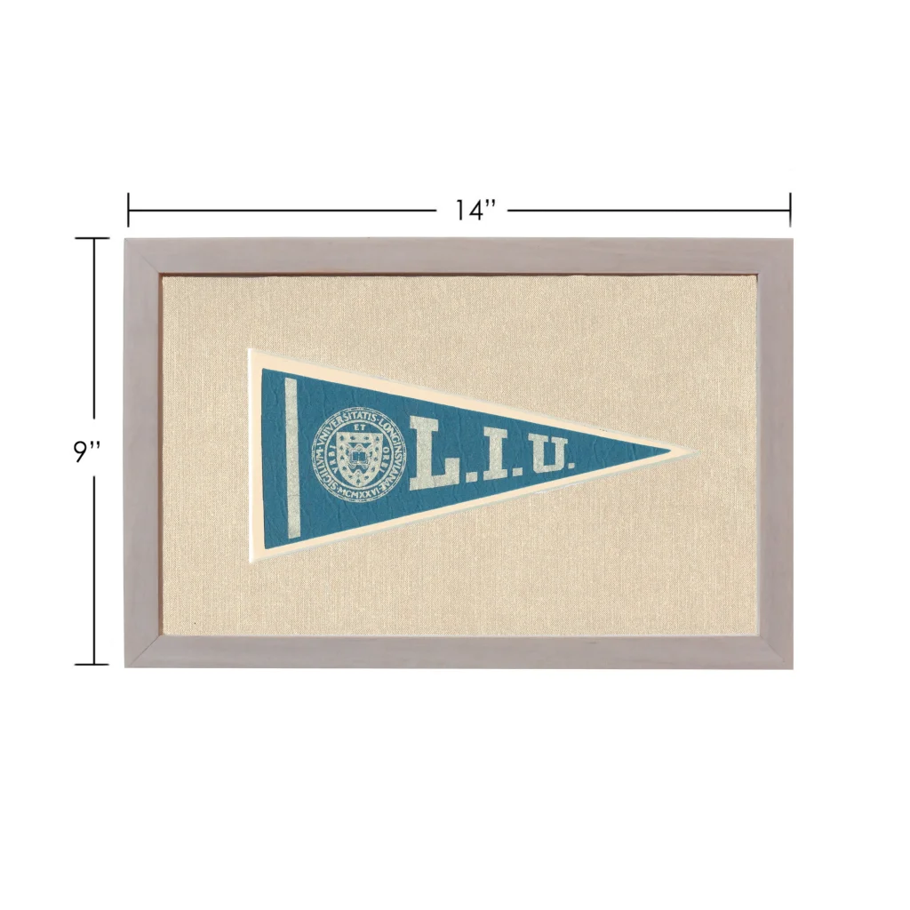 Framed vintage Long Island University pennant in blue and white