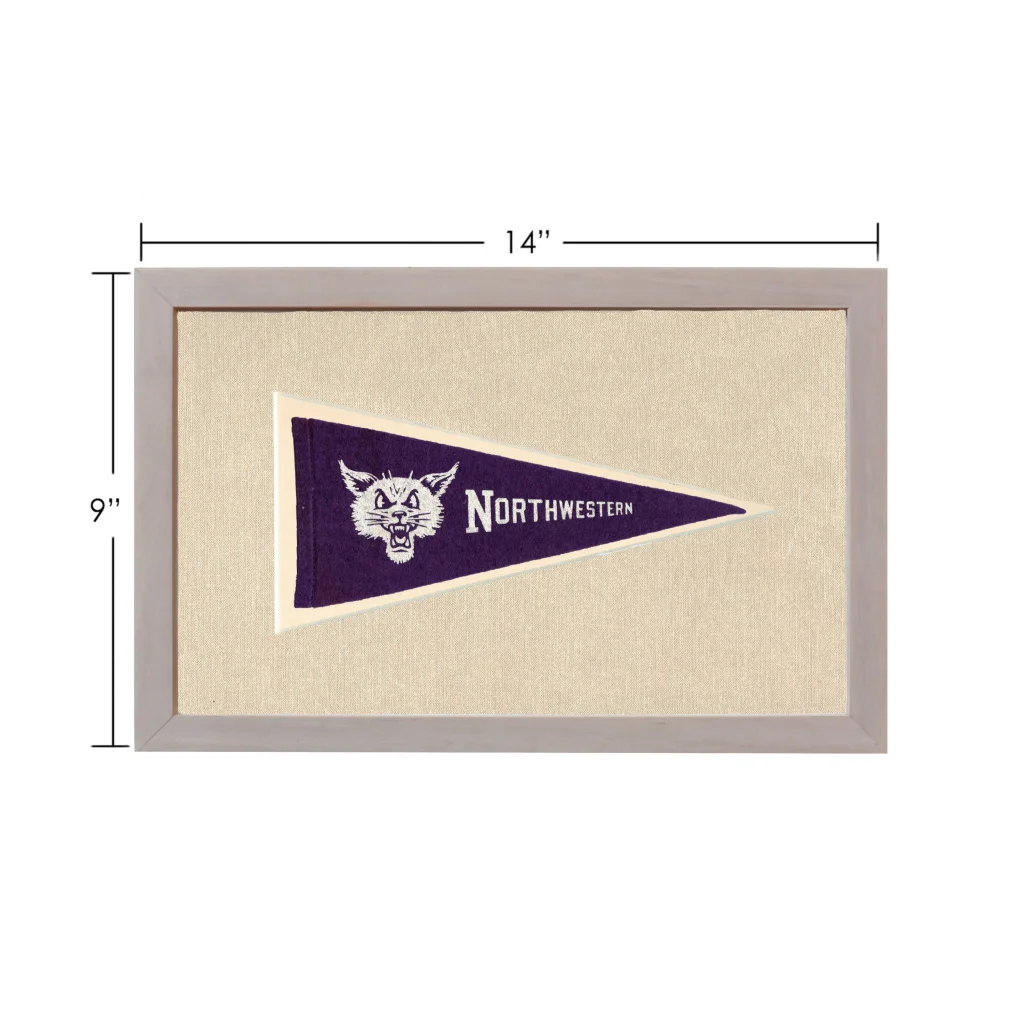 Vintage Northeastern pennant with white cat mascot on purple felt