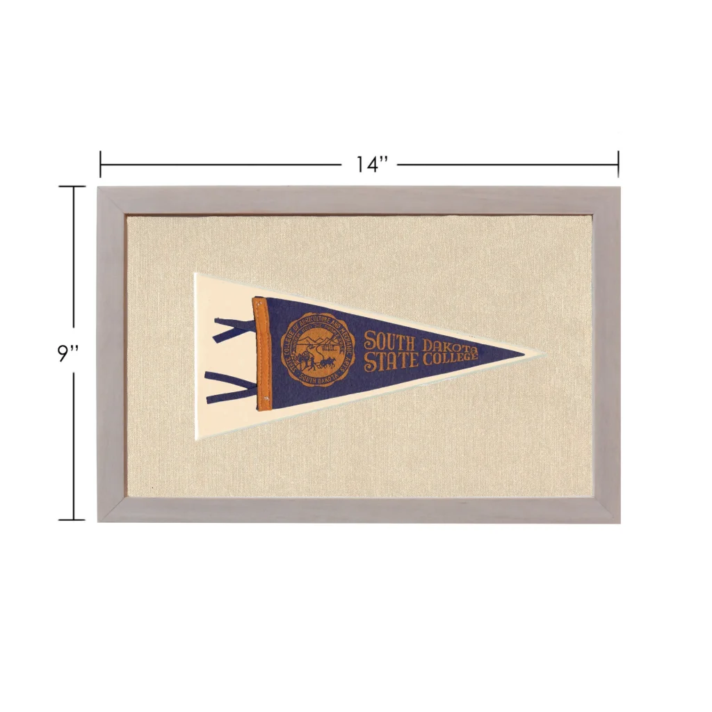 Vintage South Dakota State College pennant with navy blue field and embroidered seal
