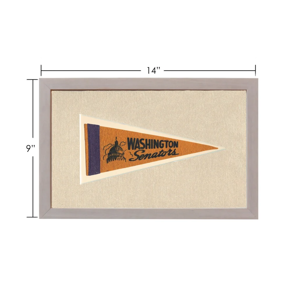 Vintage Washington Senators pennant with tan purple Capitol design