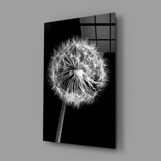 Black and white dandelion seedhead on dark glass panel displayed at an angle against gray background, showing grid pattern on reverse side.