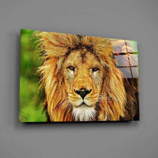 Glass wall art featuring a majestic lion's head with golden mane against blurred green background, mounted on gray wall.