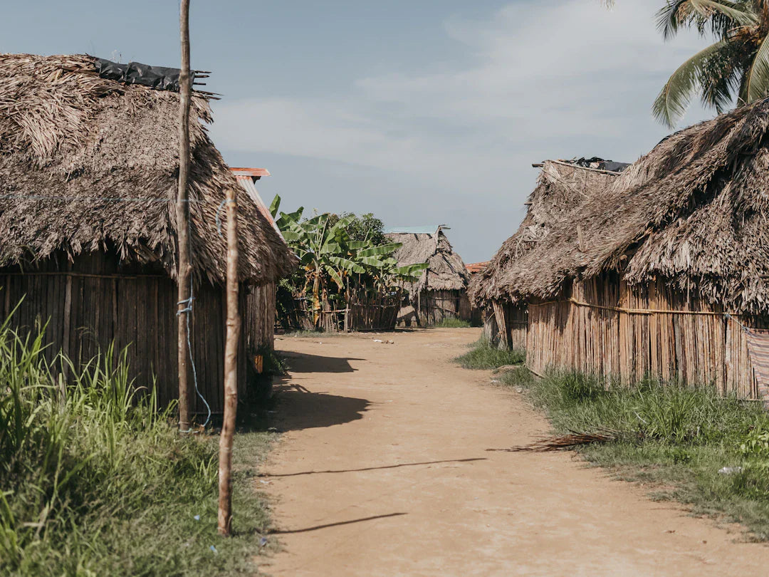 Thatched-roof hut in colonial life of early settlers in Colonial America