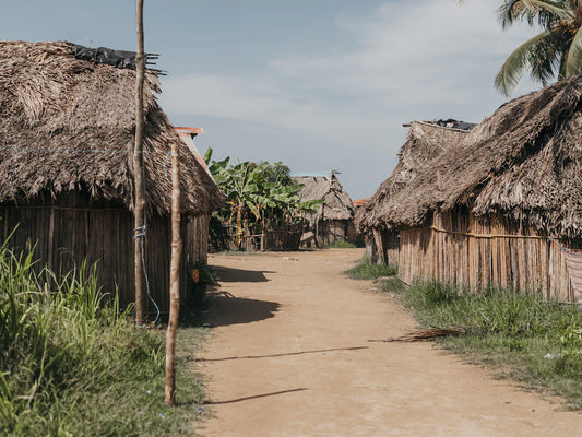 Thatched-roof hut in colonial life of early settlers in Colonial America