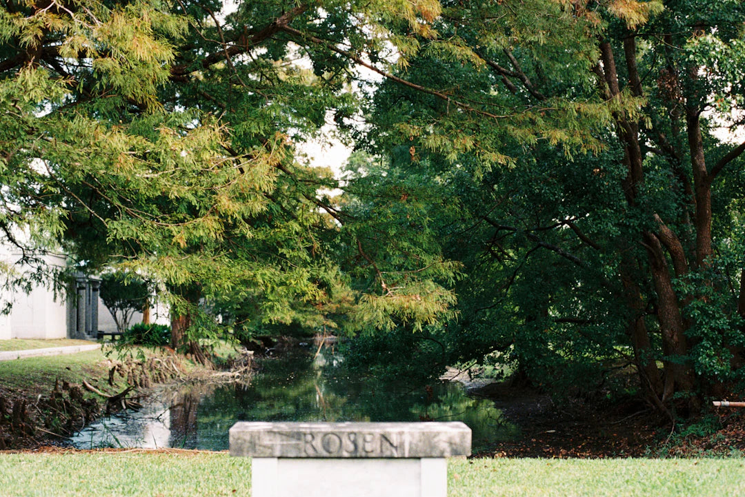 Deluxe Collectibles for Sports and Music Enthusiasts