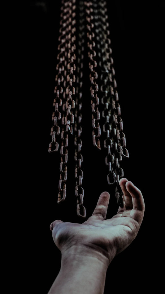 Emancipation and Its Echoes The Fight for Freedom