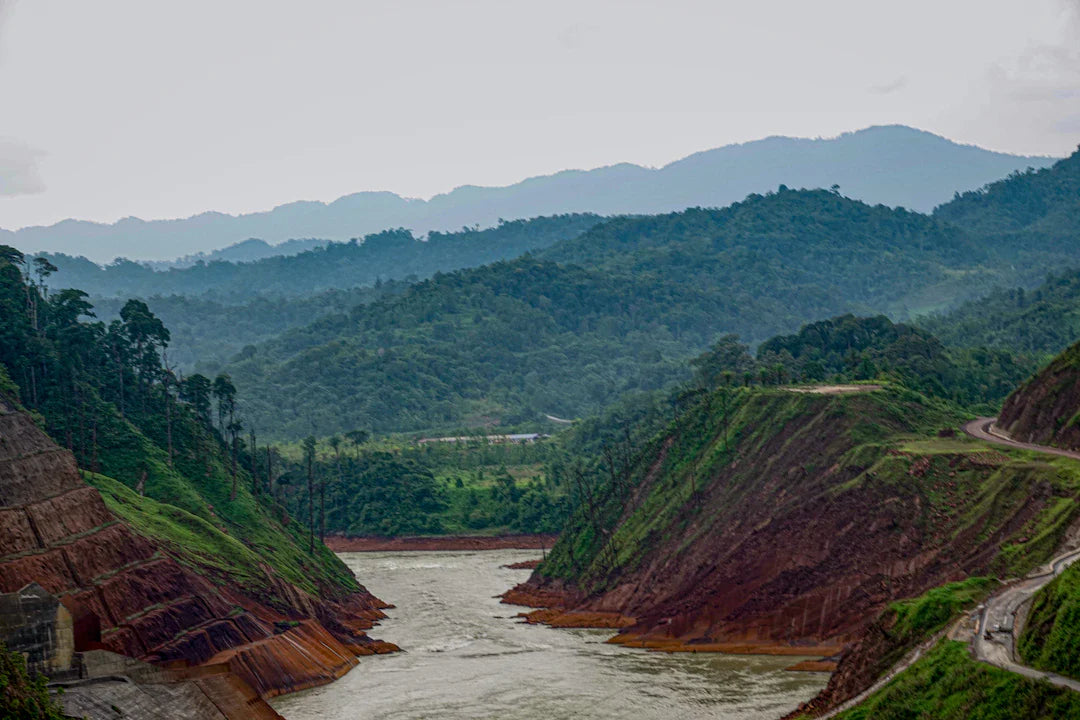 The Environmental Movement Protecting America's Natural Heritage