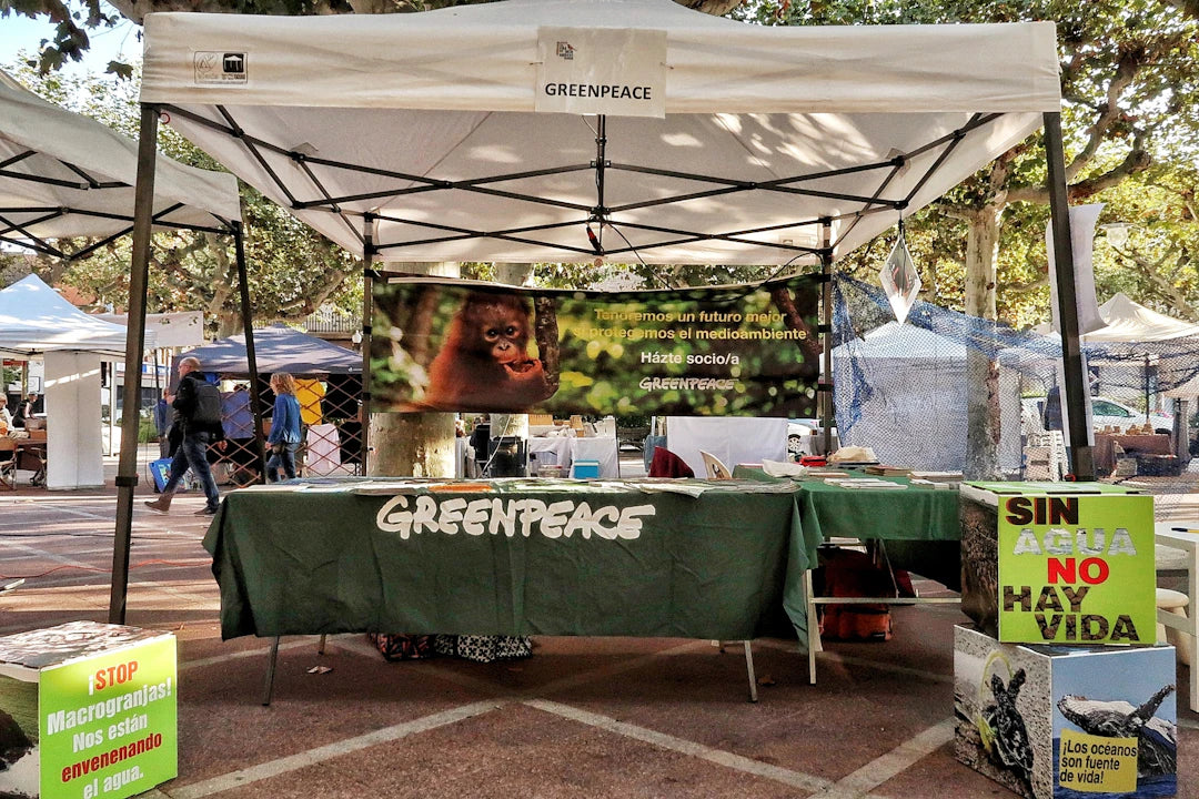 Environmental Movements Advocating for a Greener Future