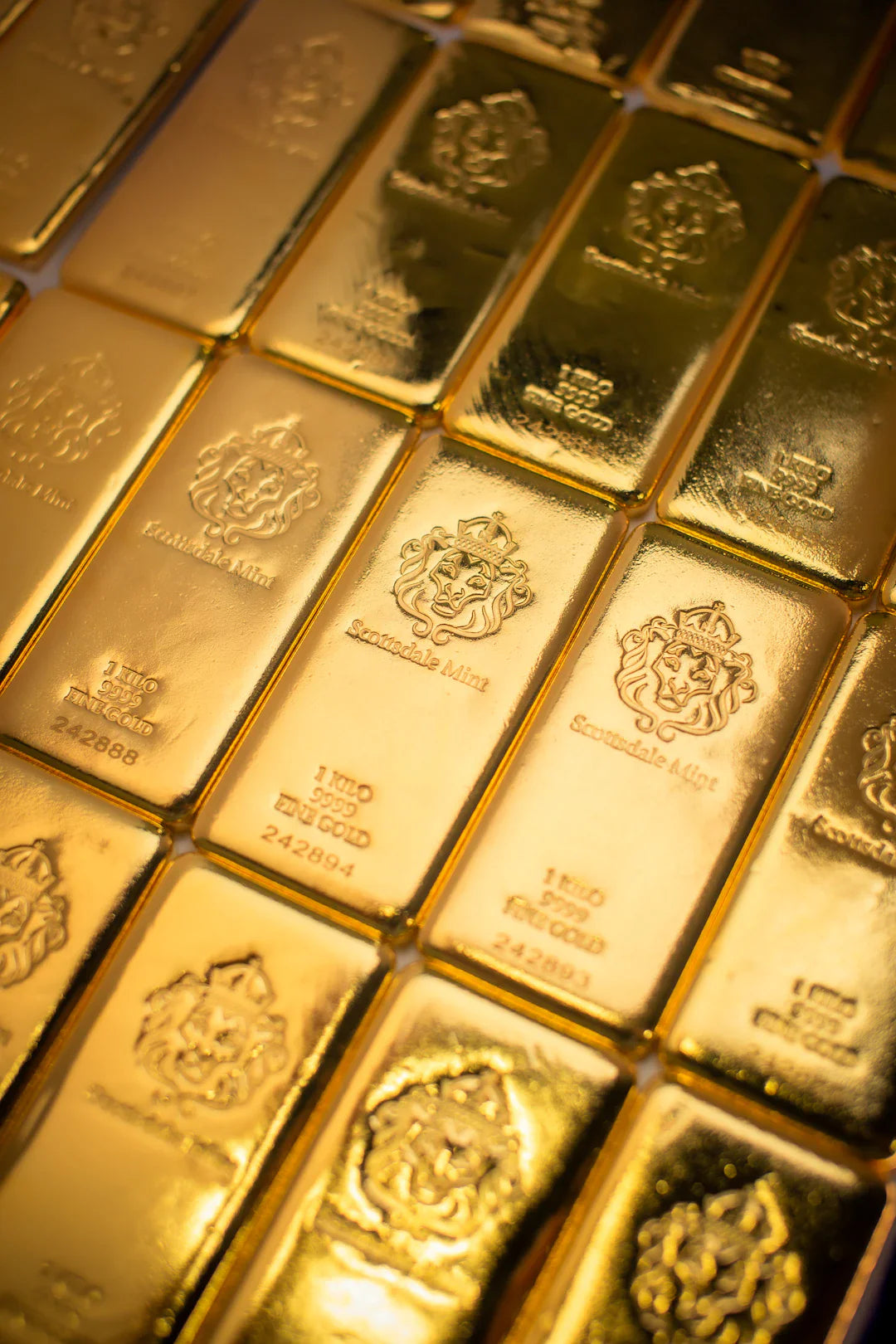 The Gold Rush Dreams and Disillusionment