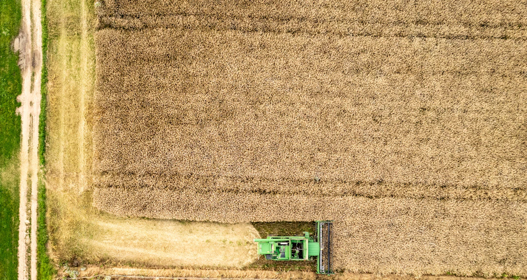 Green combine harvester in American agriculture’s golden fields