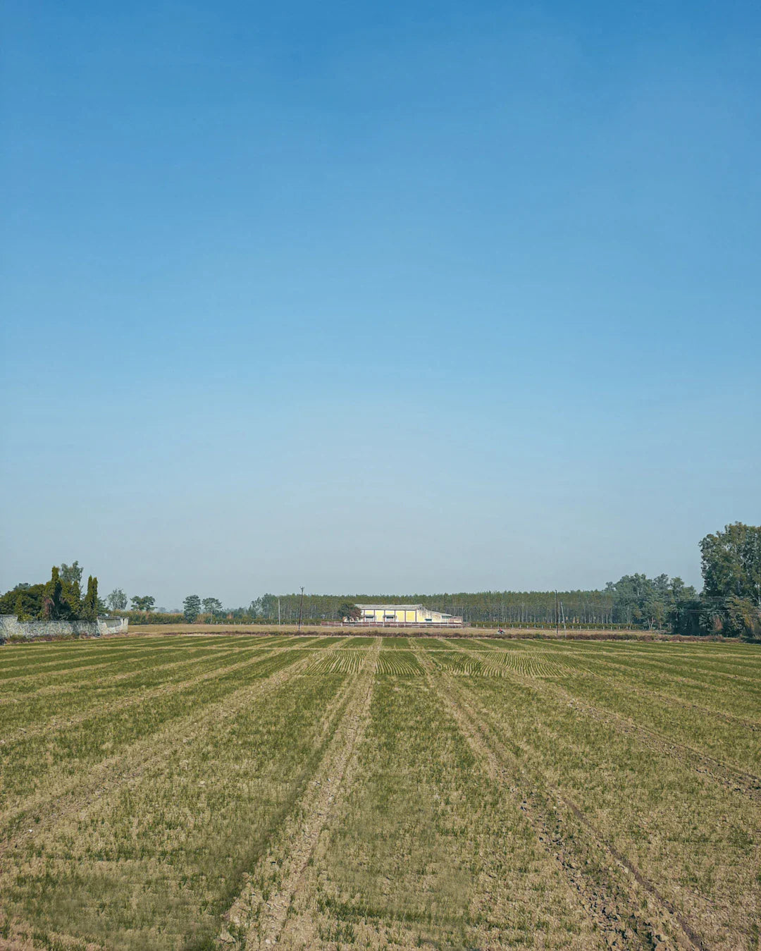 Agricultural field with harvested crops under blue sky, showcasing Jethro Tull’s seed drill