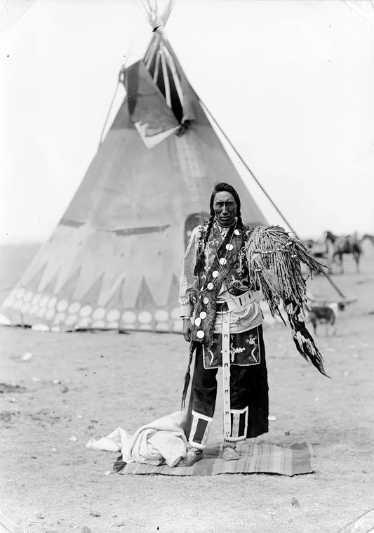 Black and white feathered headdress with intricate beadwork from Native American tribes