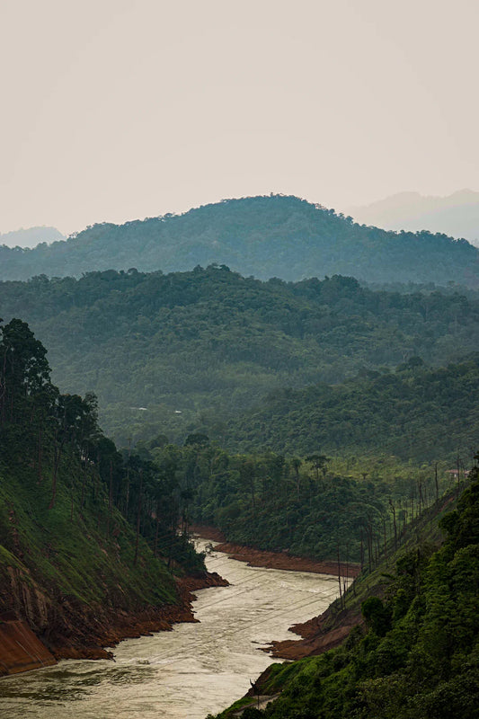 Preserving the Planet The Fight for Nature