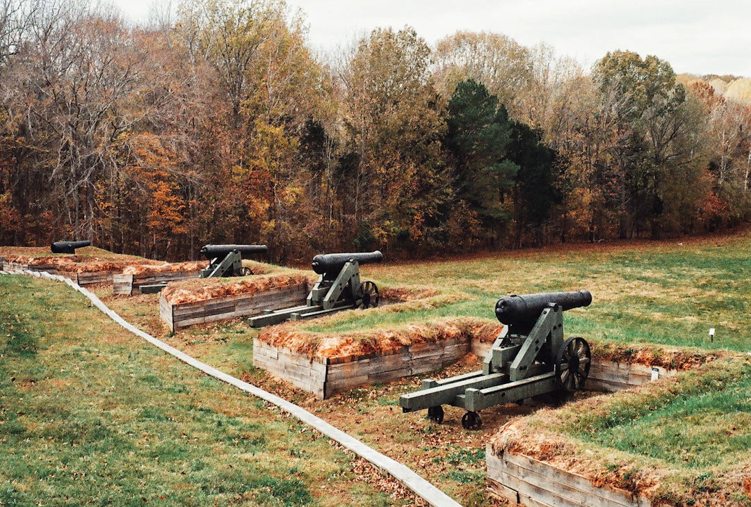 Historic cannons in grassy field during Reconstruction Era