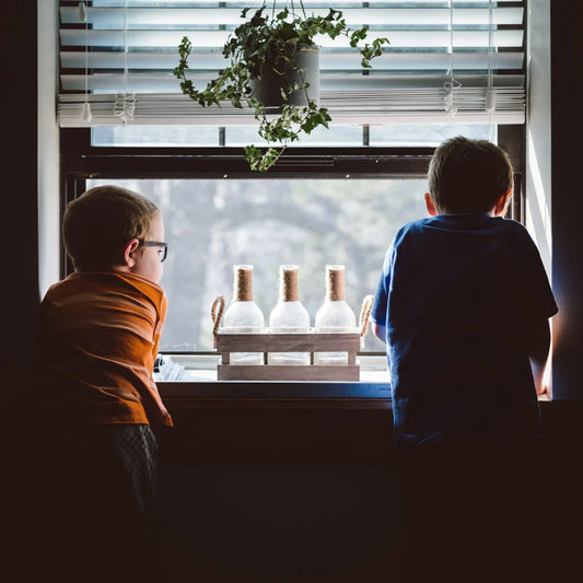 Two boys looking out window, reminiscing about childhood snacks from the 90s