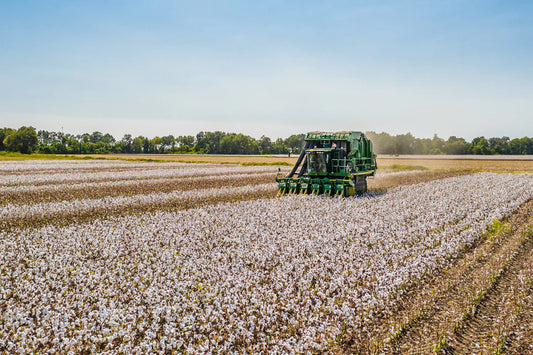 Green cotton picker in field during cotton gin era revolution