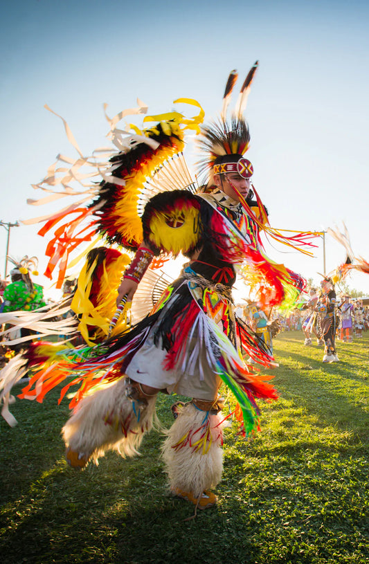 Vibrant Native American feathered headdress in cultural display