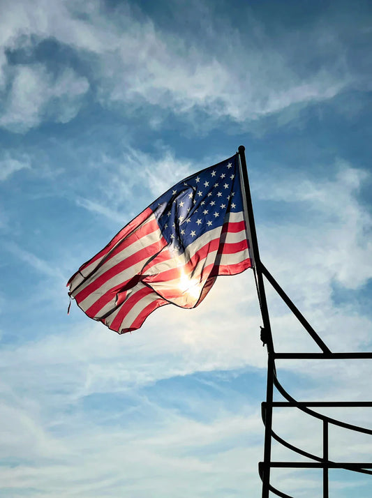 The Roots of American Independence A Historical Perspective