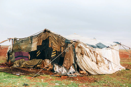 The Trail of Tears A Story of Displacement