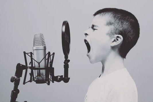 Studio microphone with pop filter for recording at 90s music festivals