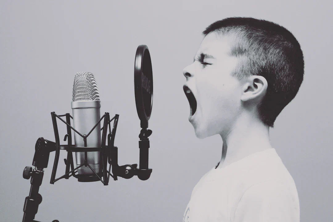Studio microphone with pop filter for recording at 90s music festivals
