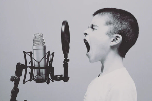 Studio microphone with pop filter for recording at 90s music festivals