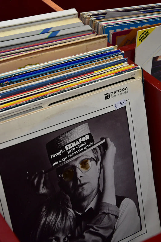 Unique Vinyl Records for Dedicated Music Collectors