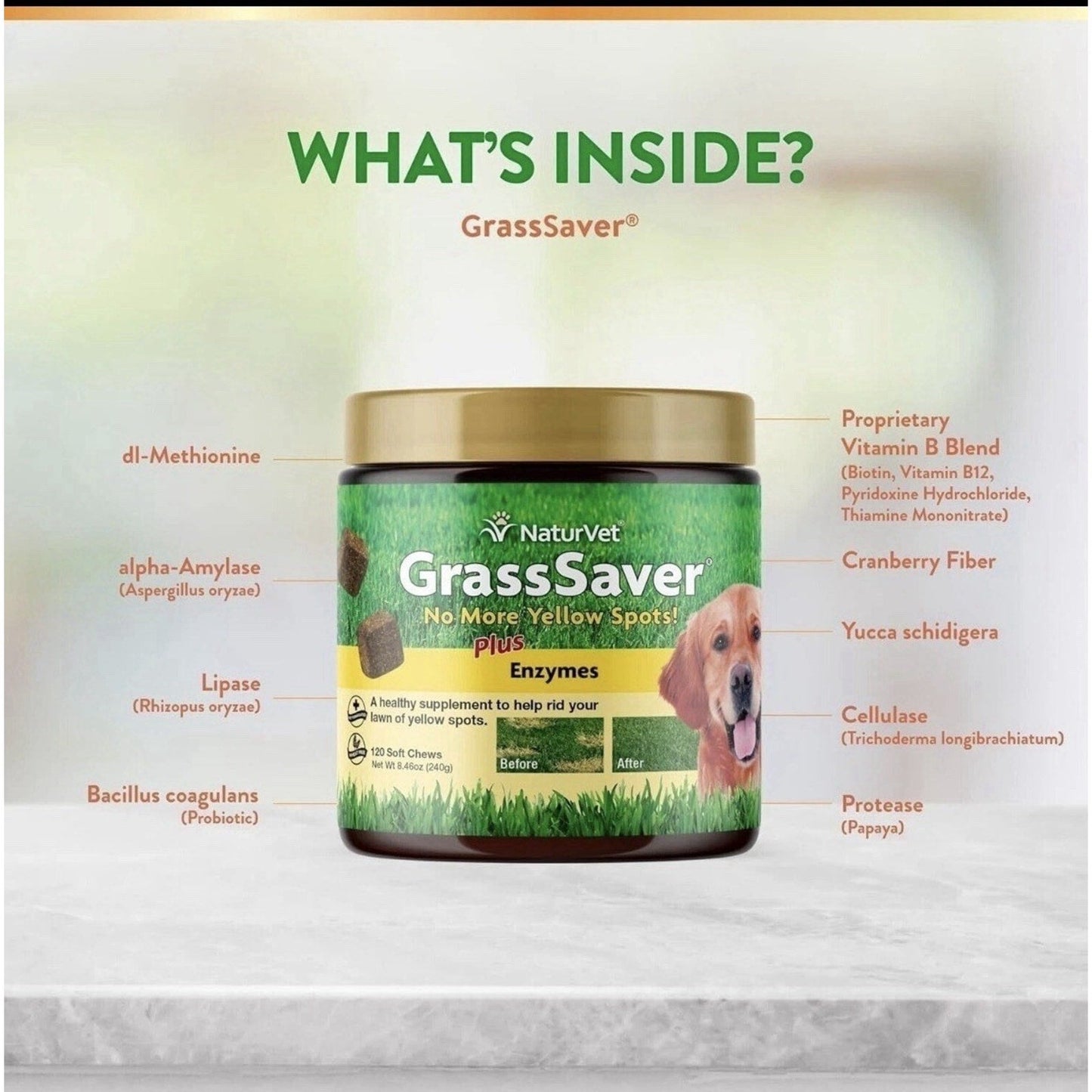 Case of 12 NaturVet GrassSaver Supplement for Dogs for Yellow Spots 120 Chews