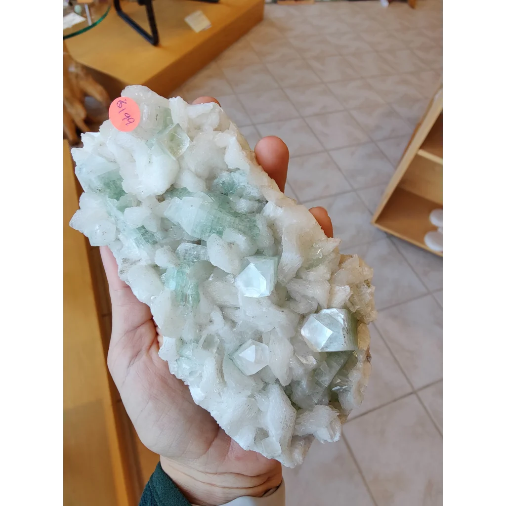 Hand holding 1.34 LB light green apophyllite fluorite crystal cluster