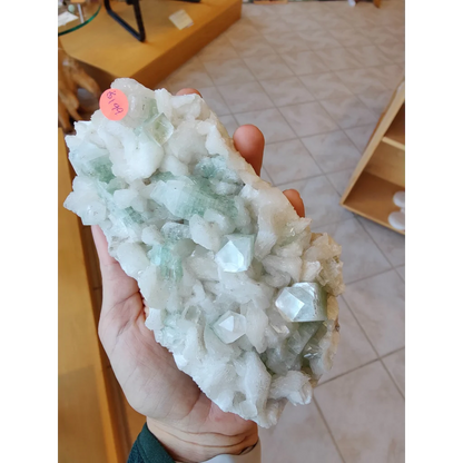 Hand holding 1.34 LB light green apophyllite fluorite crystal cluster