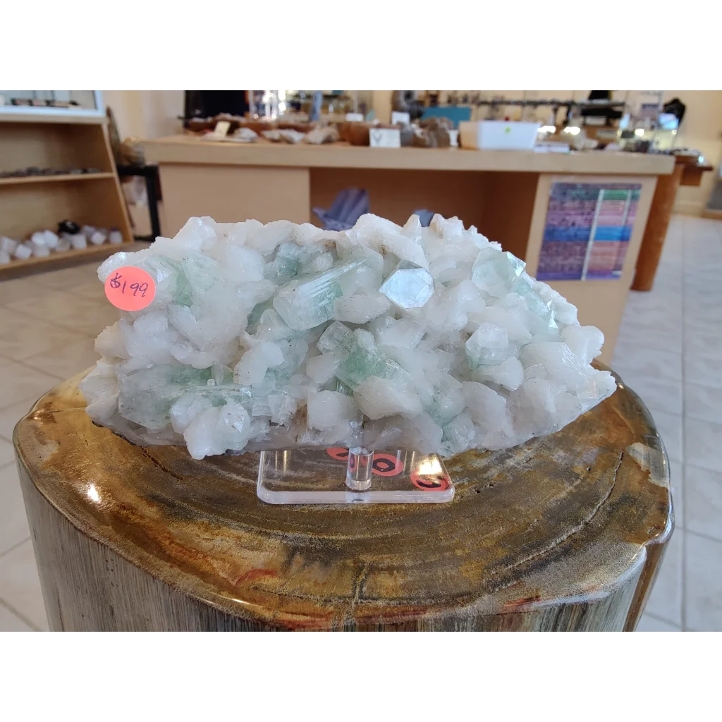 1.34 LB light green apophyllite crystal cluster on wooden pedestal