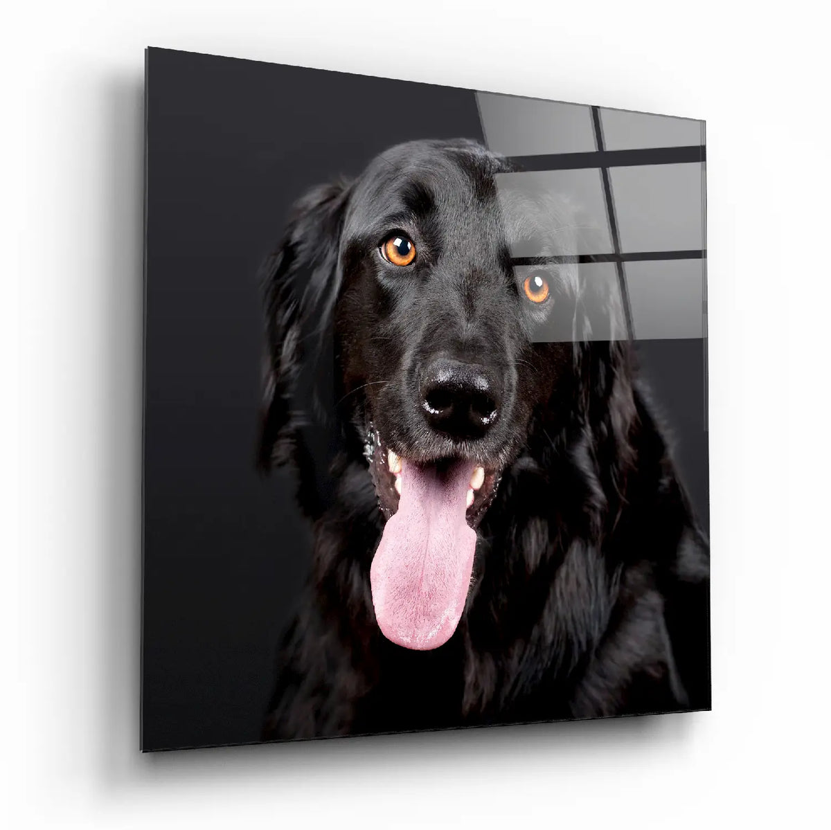 Black dog portrait on digital printed glass art