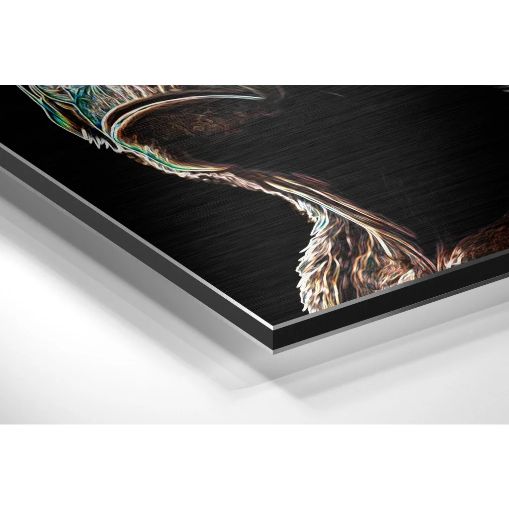 Iridescent feather art on brushed aluminium dibond print