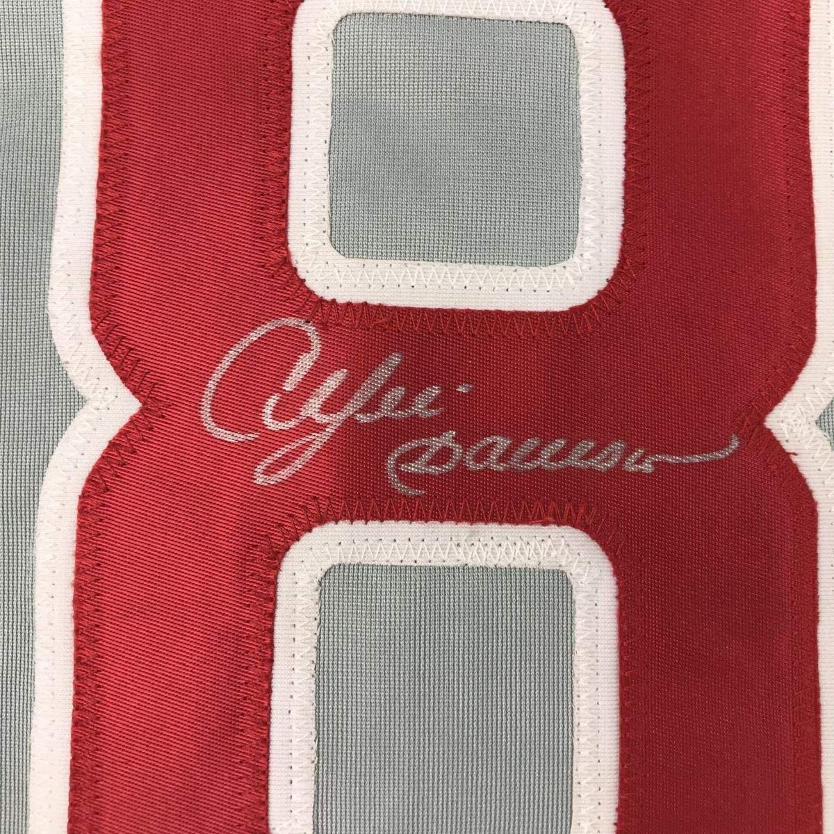 Autographed Andre Dawson Chicago Grey Baseball Jersey JSA COA