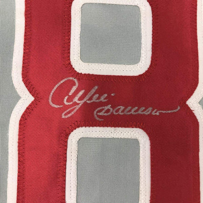 Framed Andre Dawson Chicago Grey Jersey