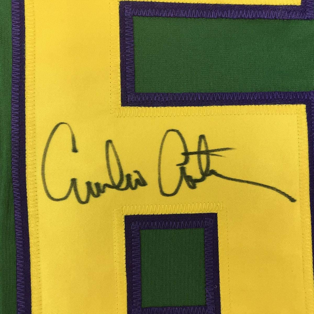Close-up of handwritten signature on yellow fabric panel of green and yellow hockey jersey with purple trim.