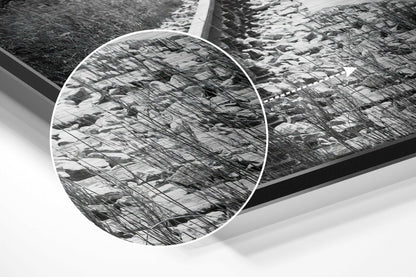 Close-up detail of brushed aluminum dibond wall art showing circular mirror reflection of bare tree branches in black and white.