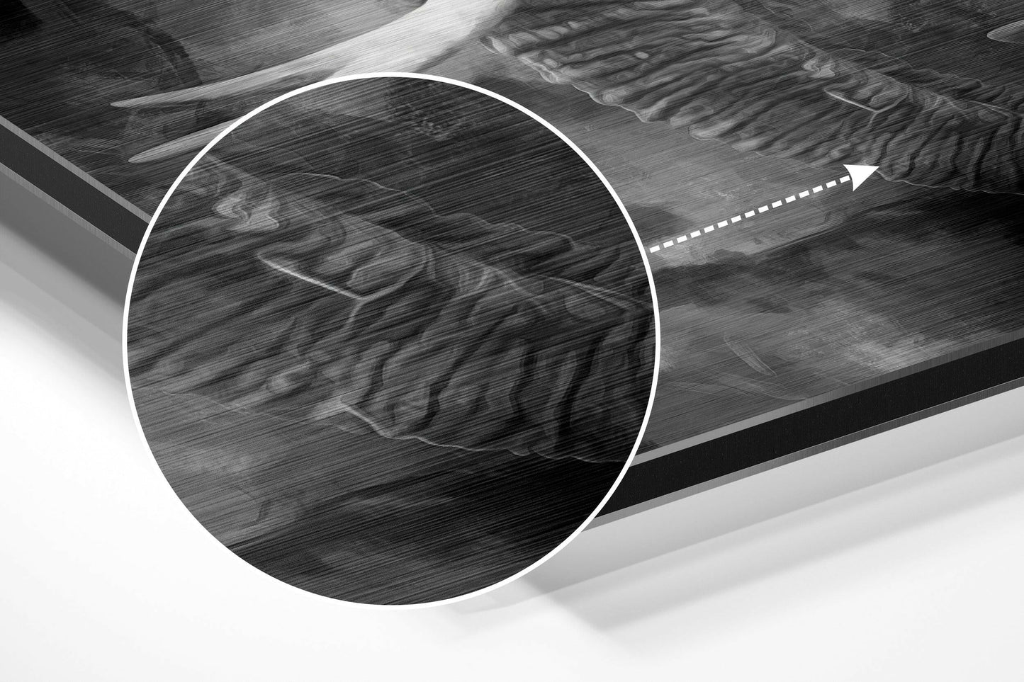 Smoky Monochrome Elephant Brushed Aluminium Dibond Wall Art