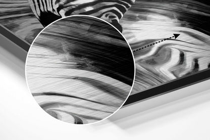 Black and White Marbled Zebra Brushed Aluminium Dibond Wall Art