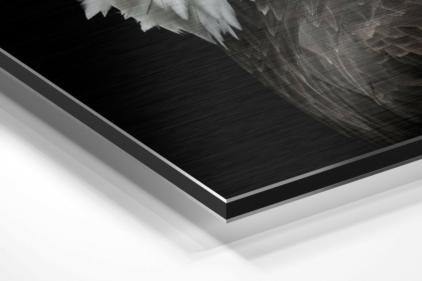 Bald Eagle Profile On Black Brushed Aluminum Dibond Wall Art