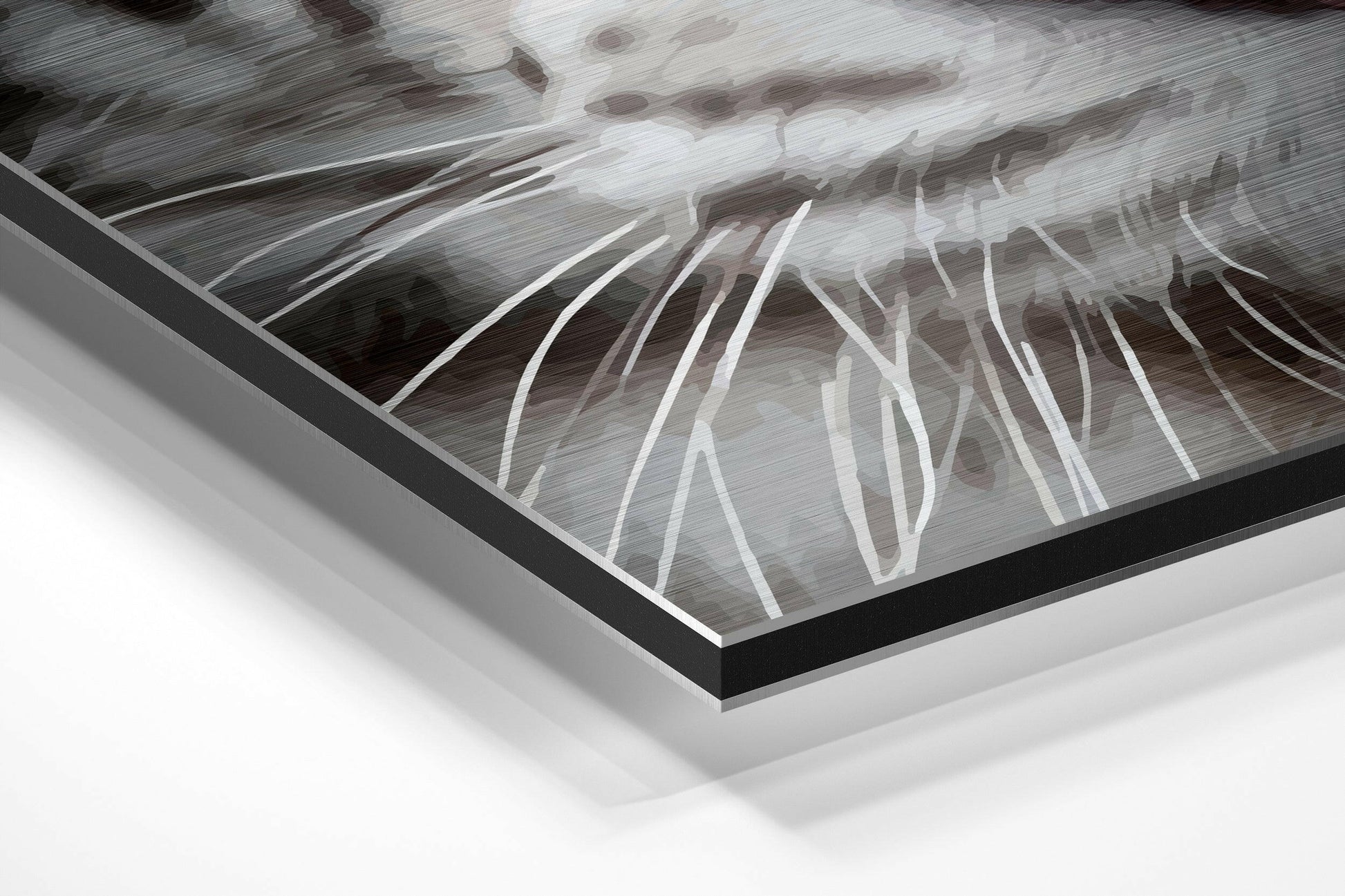 Close-up angled view of white tiger brushed aluminum Dibond wall art showing layered black frame edge and grayscale tiger stripe details.