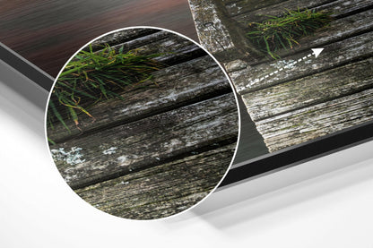 Close-up detail of weathered wooden pier planks with moss and algae growth, showing texture and material quality of Dibond wall art.
