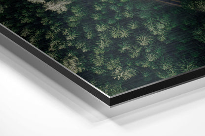 Angled view of brushed aluminum Dibond panel featuring fifty shades of green fern patterns on dark wood texture background.