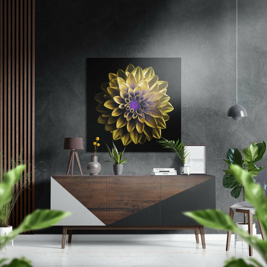 Golden dahlia with purple center on black background displayed above wooden console in modern gray interior.