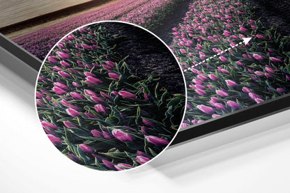 Close-up detail of brushed aluminium wall art showing vibrant pink tulips with green stems on dark background, circular magnified section highlighted.